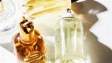 Parfum Dupes: Duftzwillinge als günstige Alternative 